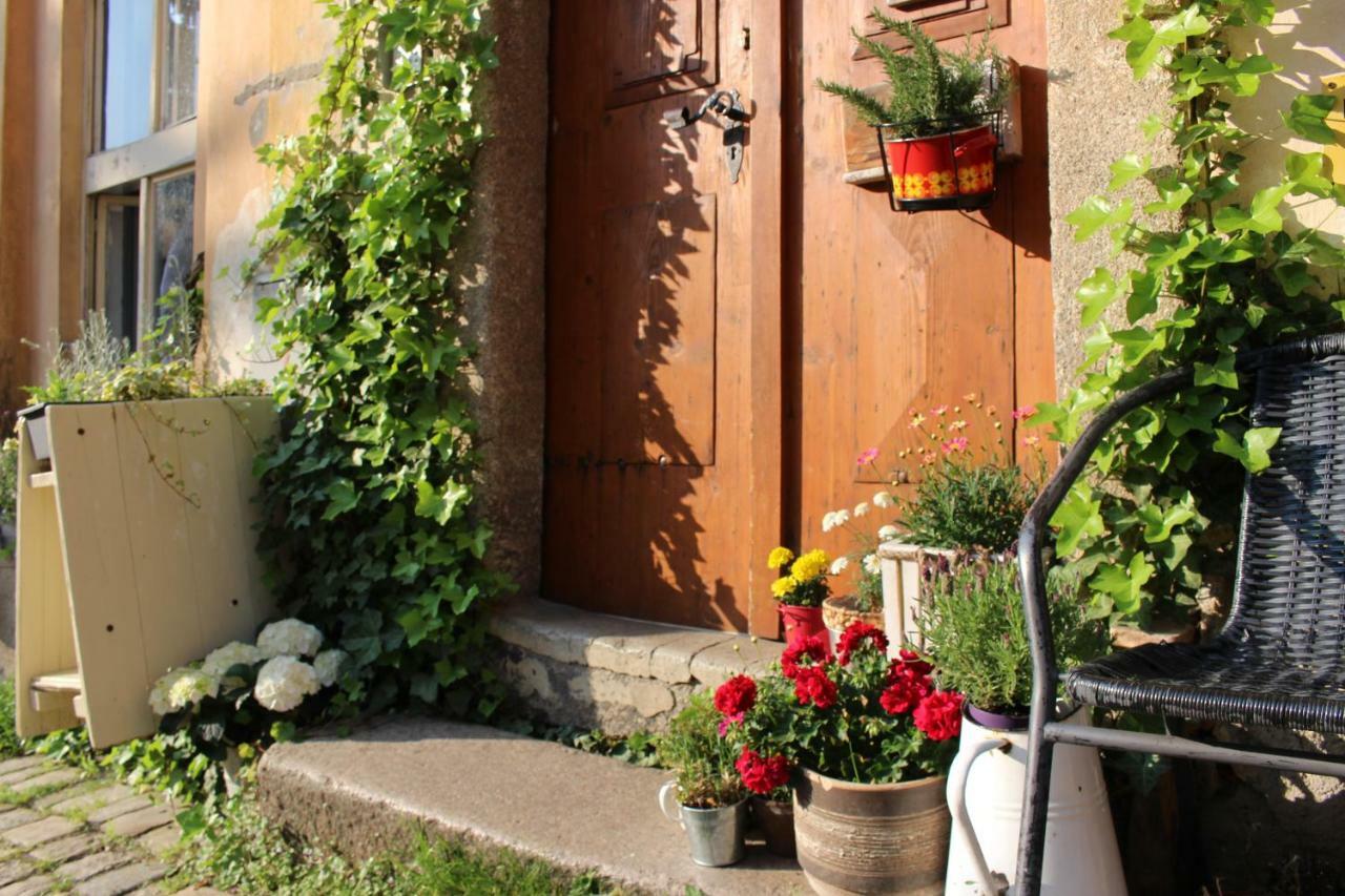 Lazy River Hostel Локет Экстерьер фото